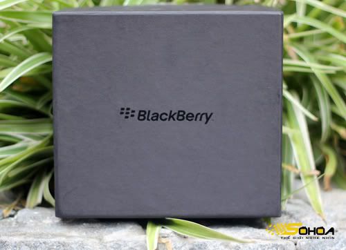 BlackBerry-Bold-9900-21.jpg