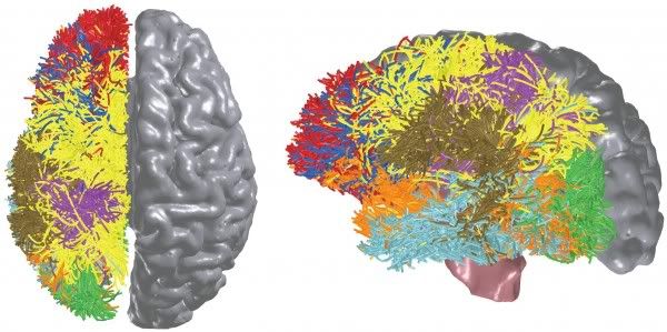 New-computing-architecture-modeled-after-the-brain-600x299.jpg