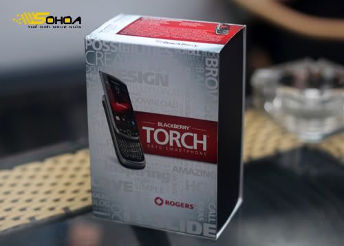 Torch-9810-8.jpg