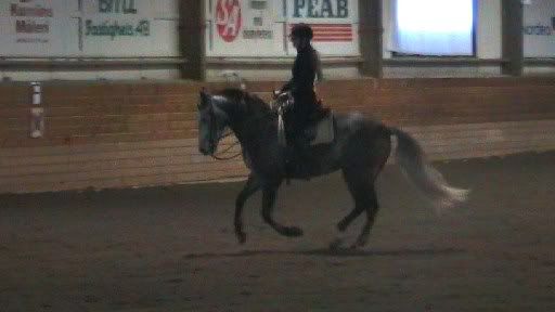 20101114ridhuset3_0012.jpg