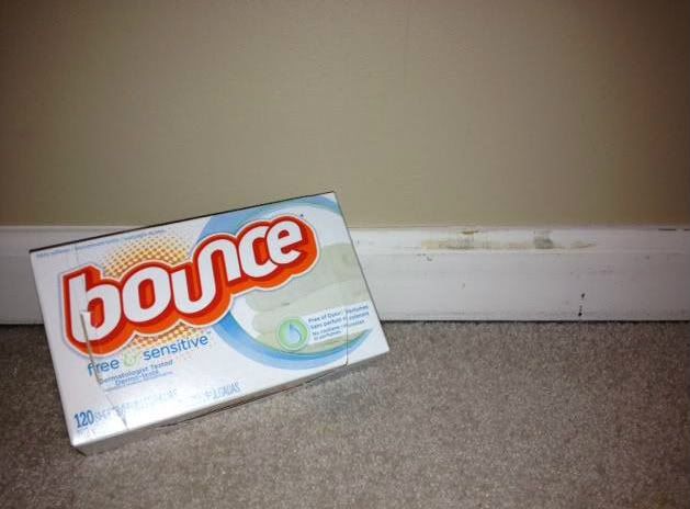 Bounce Dryer Sheet for Cleaning?