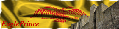 banner400x100.png