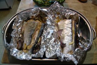 Did a little salmon fishing yesterday - The Great Outdoors