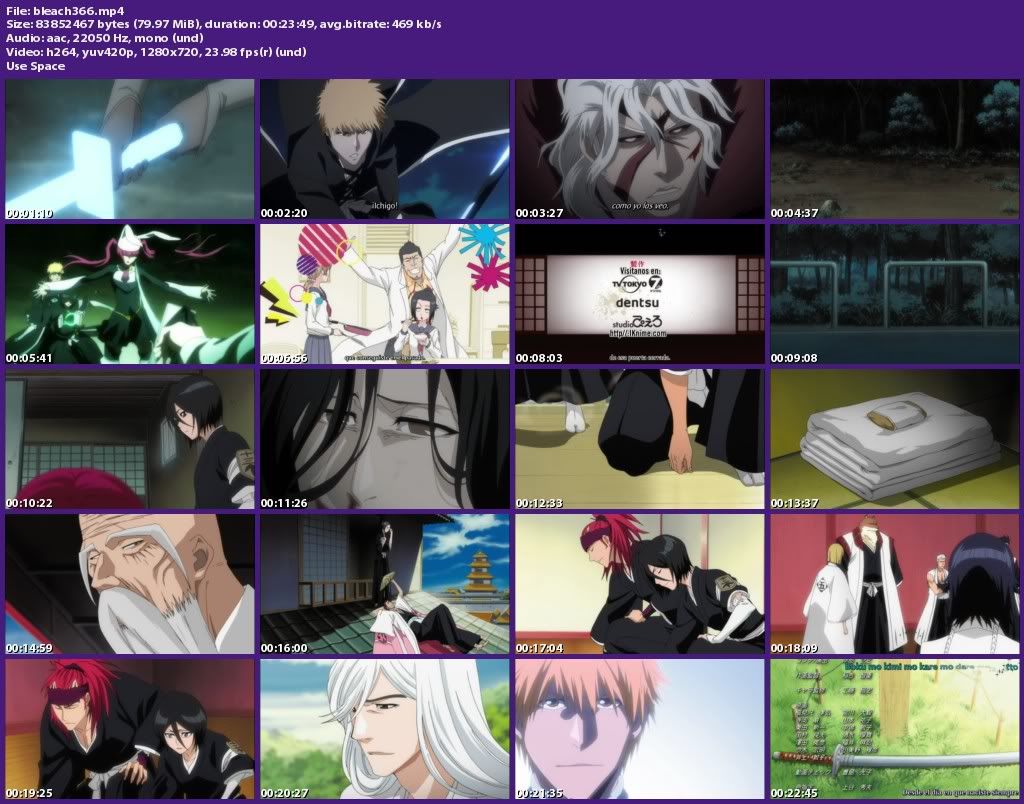 bleach366_s.jpg