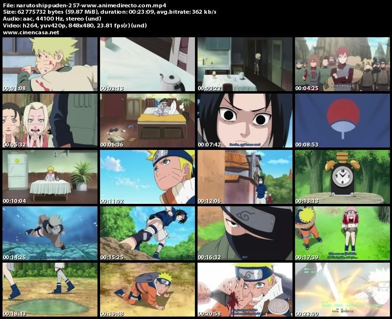 narutoshippuden-257-wwwanimedirectocom_s.jpg