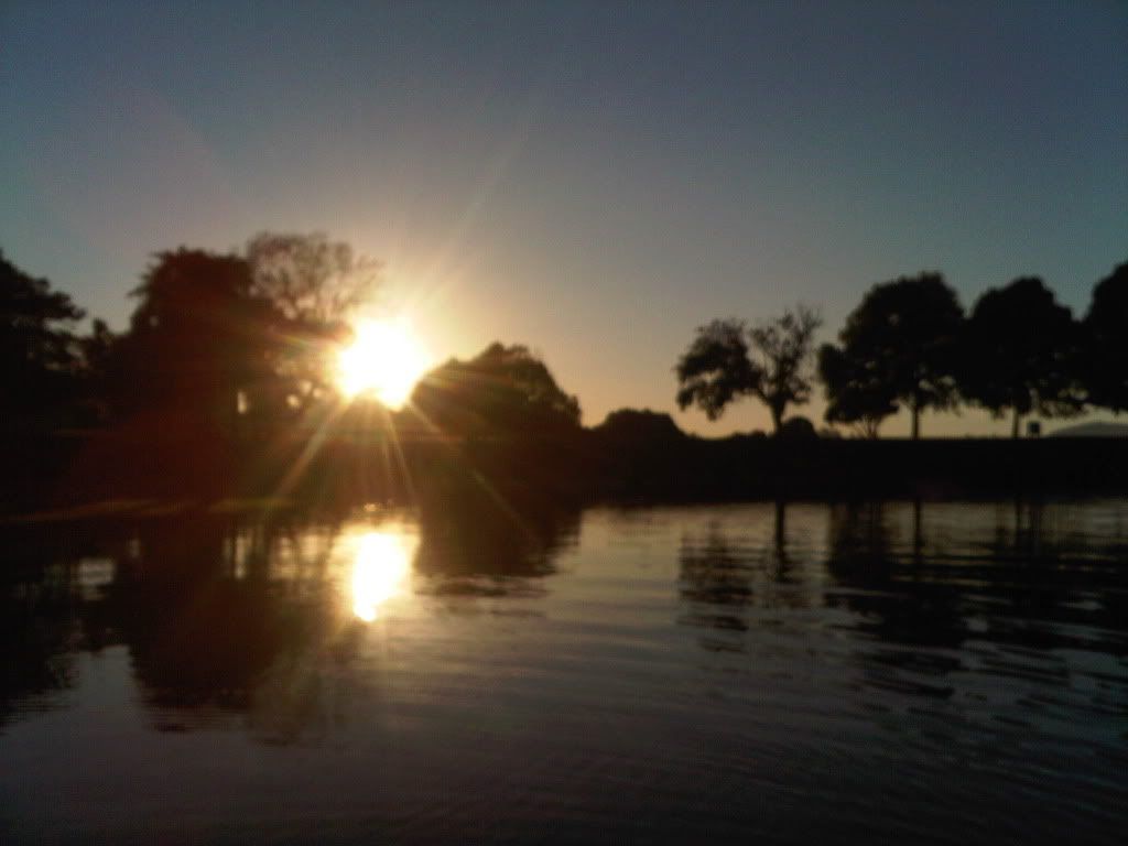 [Image: IMG00354-20120101-0514.jpg]