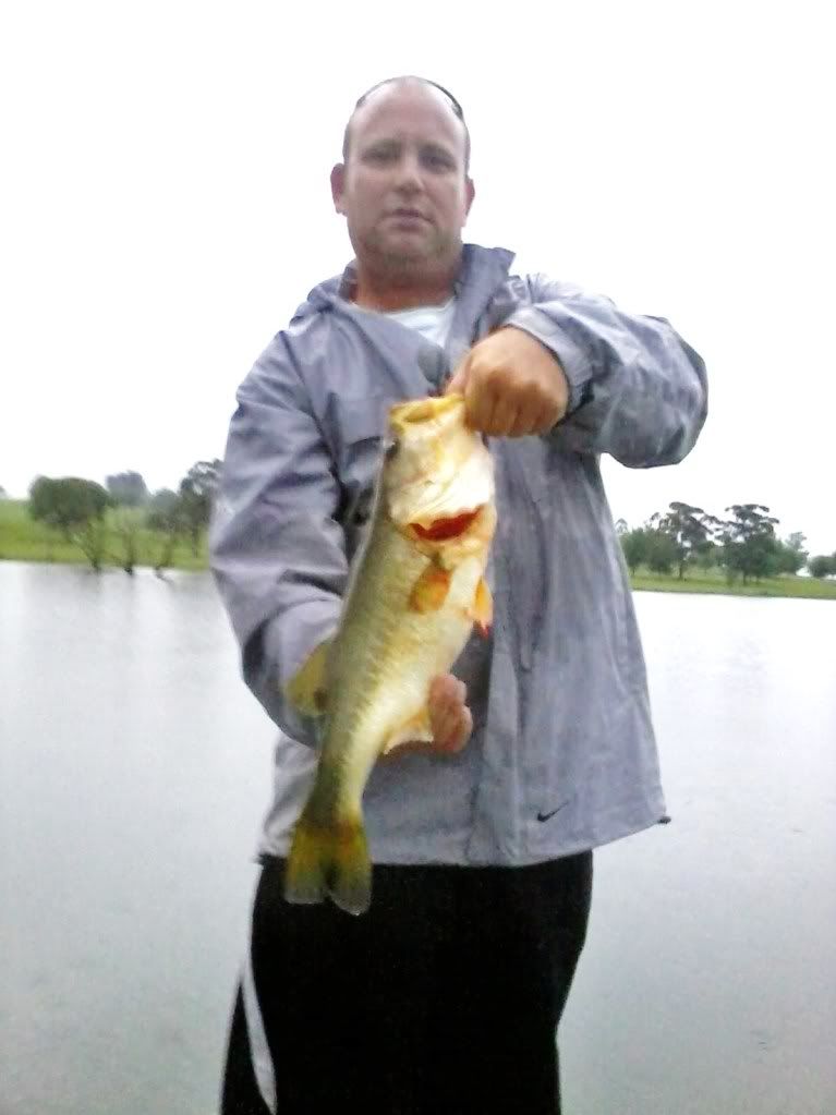 [Image: RyansBass.jpg]