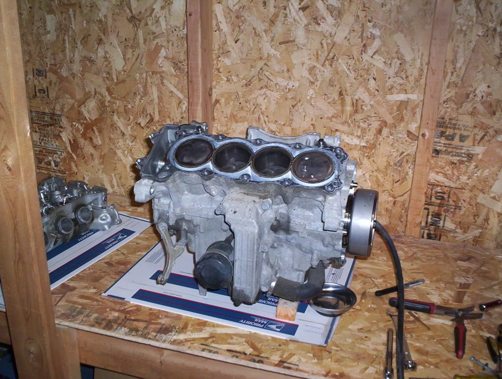 Honda cbr 600 engine rebuild #4