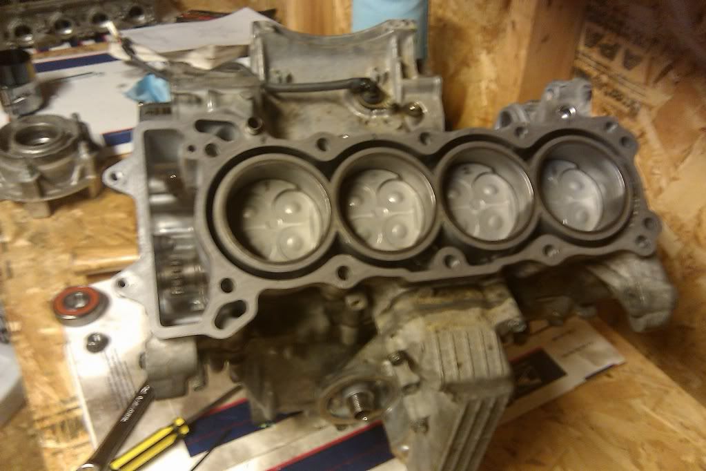 Honda cbr 600 engine rebuild #3