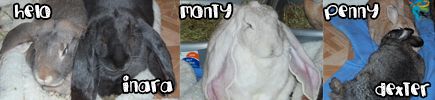 photo BBBannerNew_zpse09161c4.jpg