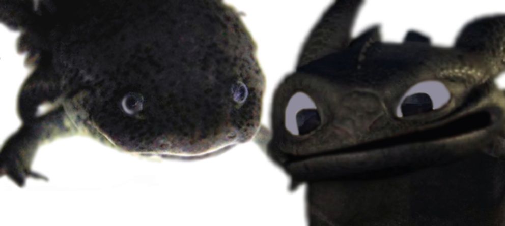mortinightfury2_zpsafc2a72c.jpg