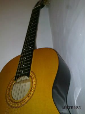 Marcas de diapasón de una guitarra acústica Marcas de diapasón de una guitarra acústica