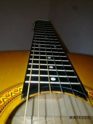 guitarra guitarra