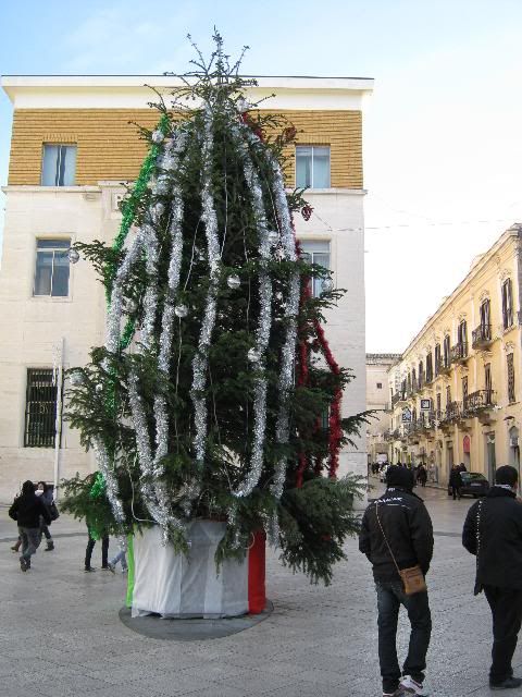 albero di Matera