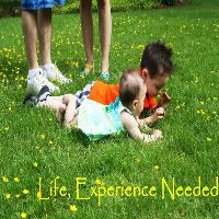 Life, Experience Needed