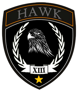 Hawk Avatar