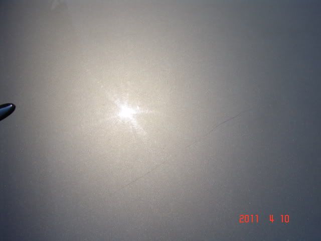 DSC04797.jpg