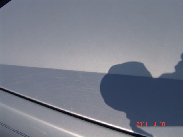 DSC04803.jpg