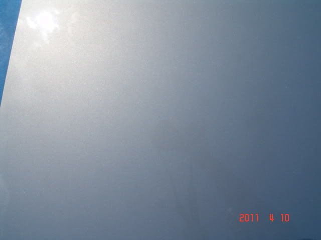 DSC04805.jpg