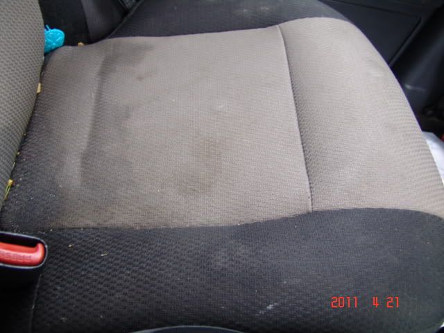 DSC04825.jpg