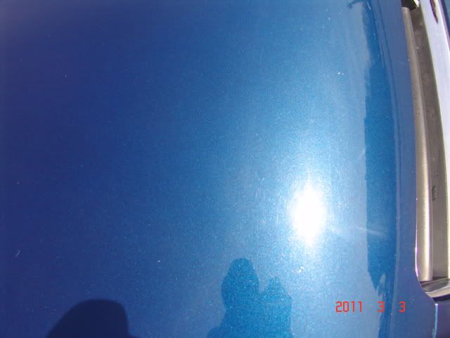 DSC04664.jpg