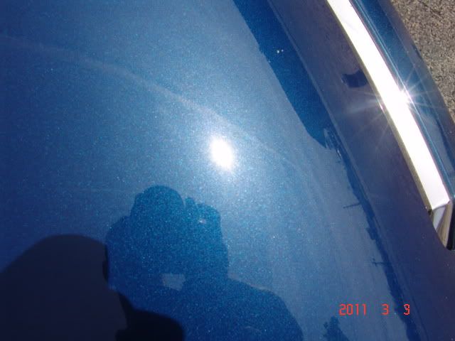 DSC04667.jpg