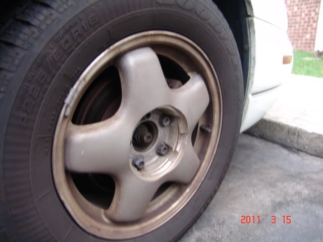 DSC04705.jpg