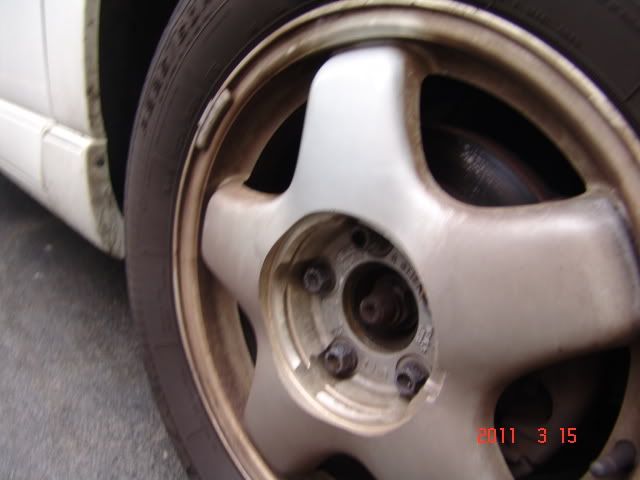 DSC04708.jpg