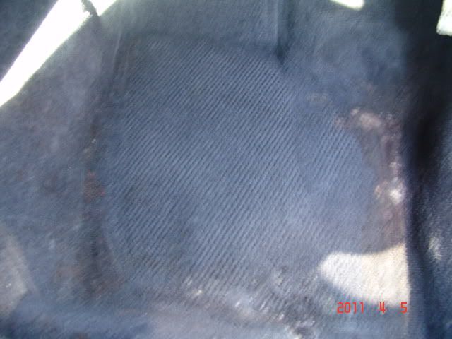 DSC04737.jpg