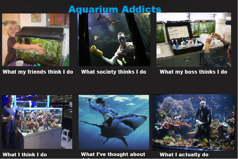 aquariumaddicts.png