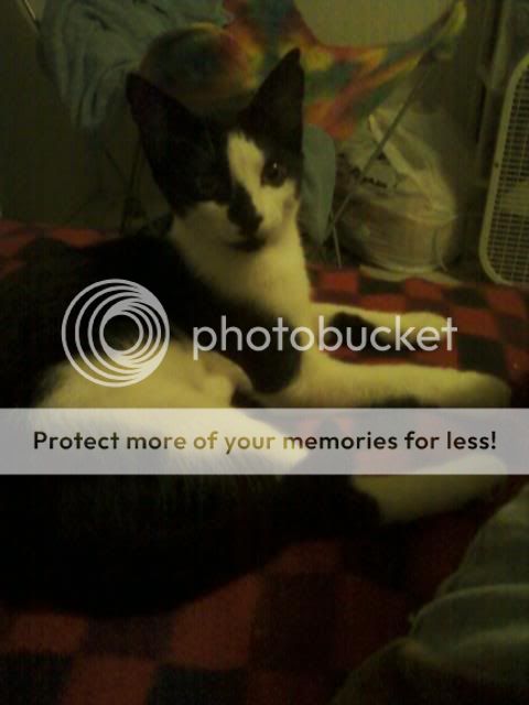 Photobucket