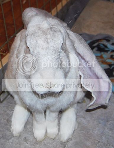  photo Montio_zps914aff6f.jpg